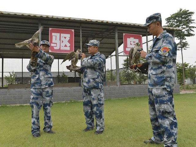 Huấn[-]luyện[-]khỉ,[-]chim[-]ưng[-]bảo[-]vệ[-]lễ[-]diễu[-]binh[-]ở[-]Trung[-]Quốc